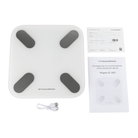 Электронные весы SC-600