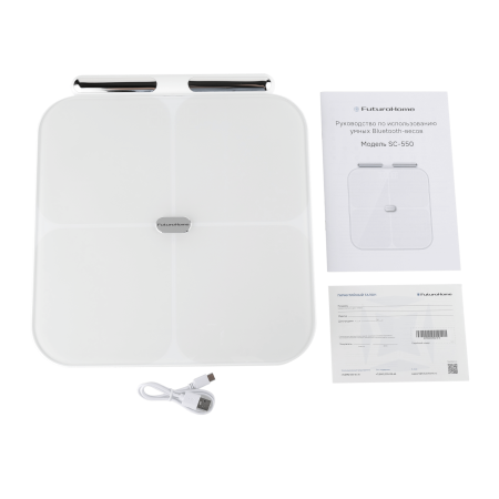 Электронные весы SC-550
