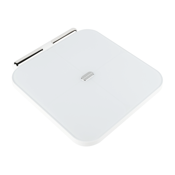 Электронные весы SC-550